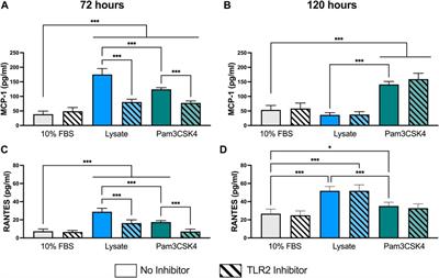 The extended effect of adsorbed damage-associated molecular patterns and Toll-like receptor 2 signaling on macrophage-material interactions